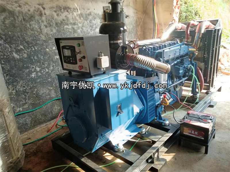 2024年3月5日，200kw濰坊雷納發(fā)電機(jī)組某學(xué)校到貨安裝