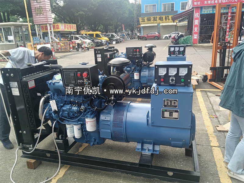 2024年5月31日，兩臺50KW玉柴發(fā)電機(jī)組試機(jī)發(fā)貨南寧某養(yǎng)殖場